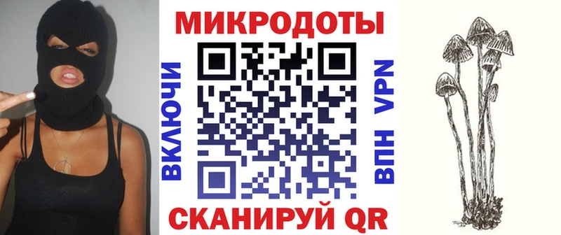 Псилоцибиновые грибы Psilocybine cubensis  Купить закладки  Белёв 